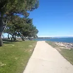 Ceh