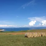 Ceh 아파트 Ližnjan