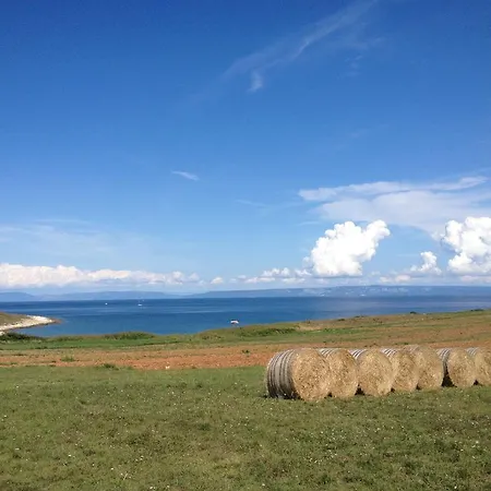 Ceh Apartman Ližnjan