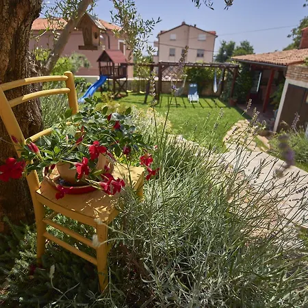 Apartman Ceh Ližnjan